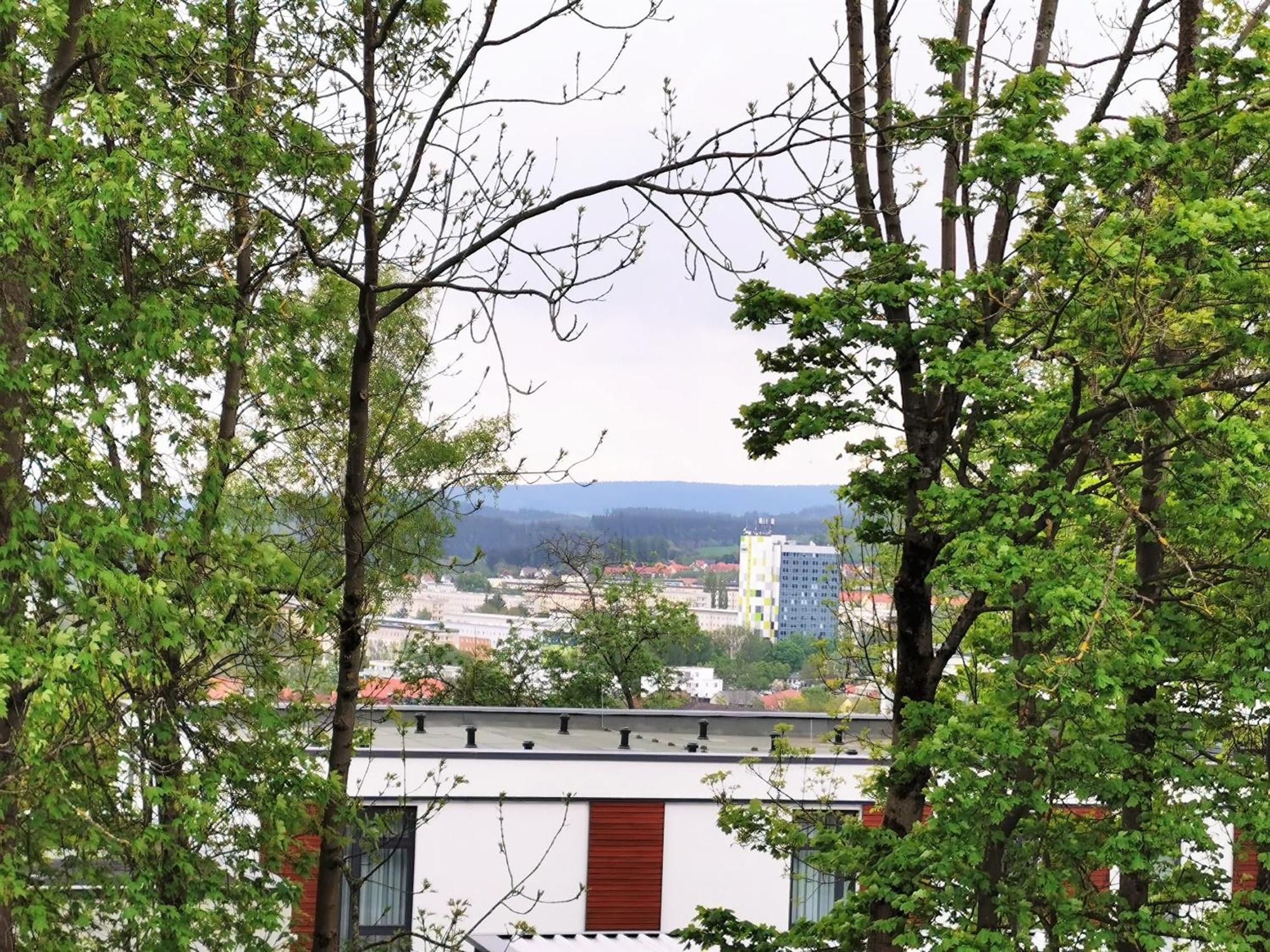 Bohnapartments - Stadtblick Zechenhaus - Balkon - Gratis Parkplatz - Wlan - Sehr Ruhig - Barrierearm Илменау Екстериор снимка